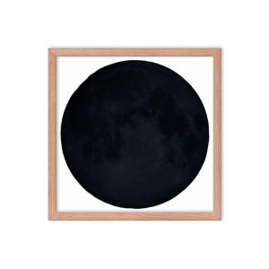 Enhanced Matte Paper Framed Poster (in)